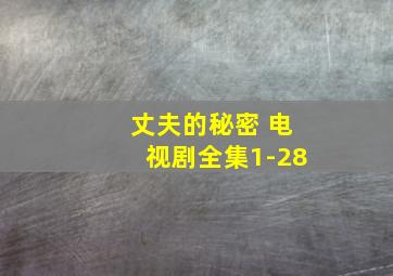 丈夫的秘密 电视剧全集1-28